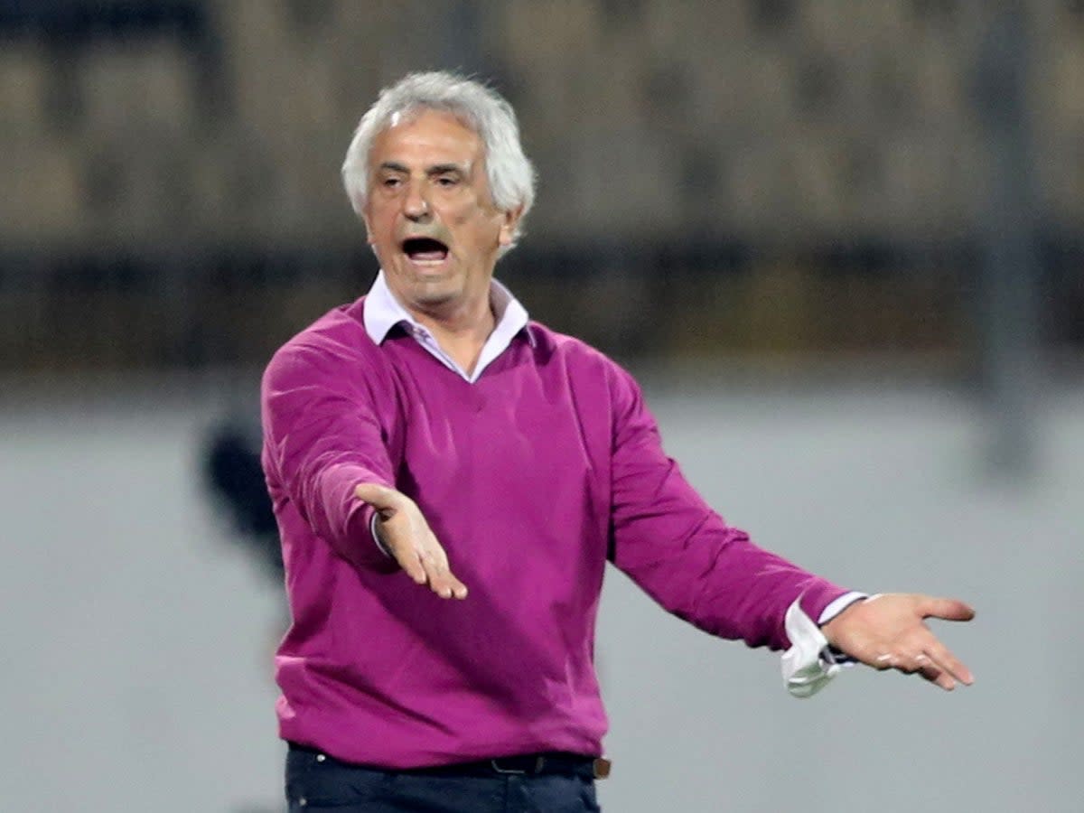 Halilhodzic has been under pressure for some time  (REUTERS)