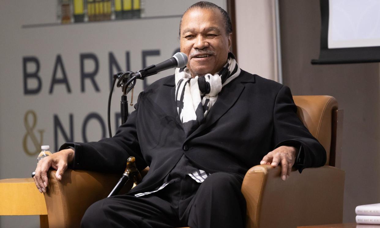 <span>Billy Dee Williams: ‘I’ve led a very eclectic life. I see myself as the full spectrum of colours and, when you’re a painter, you learn a lot more about that perspective.’</span><span>Photograph: Janet Mayer/Rex/Shutterstock</span>