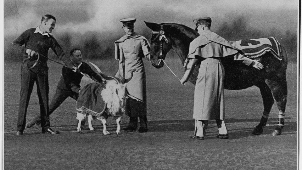Army and Navy football game, Chicago Illinois 1926, with the Navy goat mascot and the Army mule. (Naval History and Heritage Command)