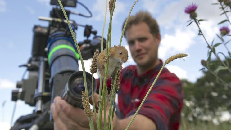 Planet Earth II picked up best factual programme