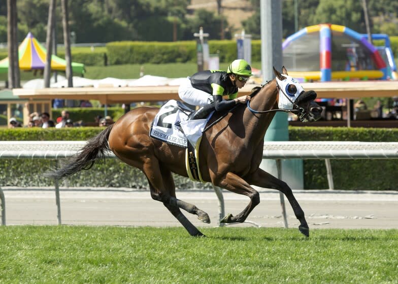 In this image provided by Benoit Photo, Count Again, with Irad Ortiz, Jr. aboard, wins.