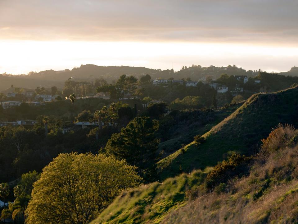 hollywood hills