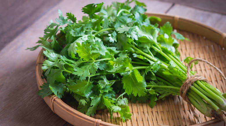 Bunch of fresh parsley