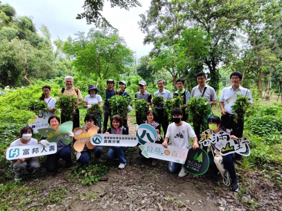 農業部林業保育署在新化林場舉辦移除小花蔓澤蘭宣導活動。（記者黃文記攝）
