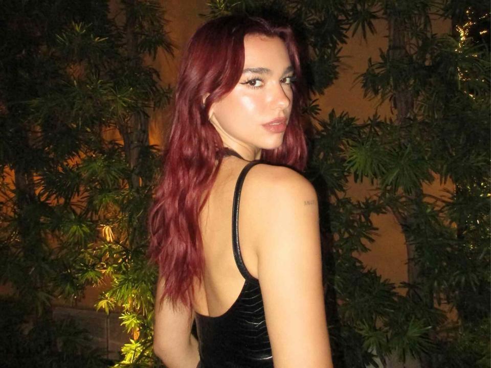 <p><a href="https://www.instagram.com/dualipa/">@dualipa</a>/Instagram</p>