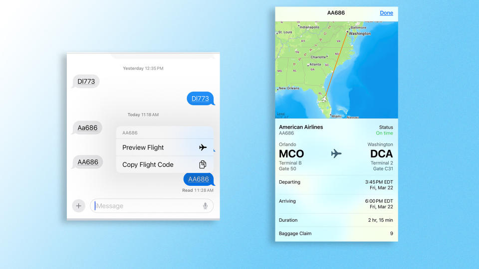 Flight information app with two flights listed, options to preview and copy the flight code, and a map showing the flight path from Orlando to Washington.