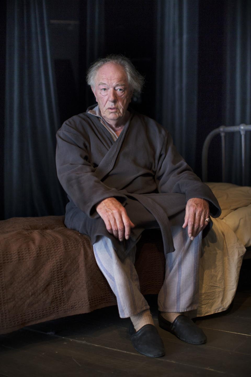 Actor Michael Gambon