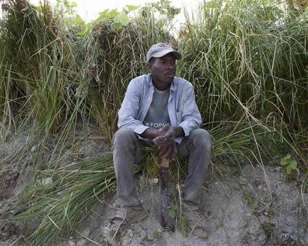 Worker Joel Lormil rests from his job digging up the roots of Vetiver grass plants on a plantation outside Les Cayes, on Haiti's southwest coast, March 27, 2014. REUTERS/stringer