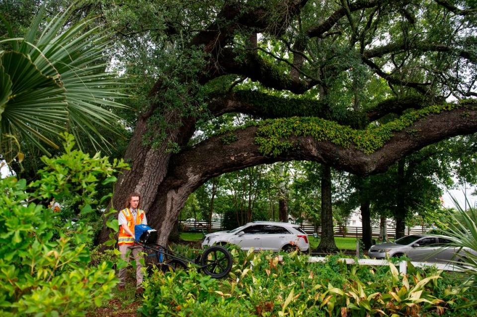 Clayton Fulgham pushes a radar that can penetrate the ground around the base of a live oak tree on a property in Ocean Springs on Thursday, May 26, 2022. The radar is used to map tree root systems to help developers avoid disrupting the roots.