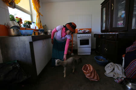 Margot Portilla stands with a lamb in the kitchen of her home in the town of Nueva Fuerabamba in Apurimac, Peru, October 3, 2017. REUTERS/Mariana Bazo