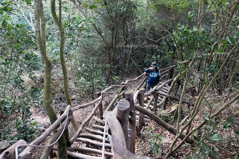 台中｜大坑5號步道