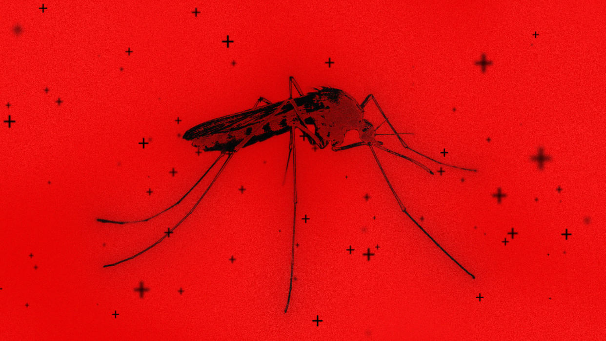 What to know about dengue fever, West Nile virus and malaria. (Illustration by Kyle McCauley; Photo: Getty Images)