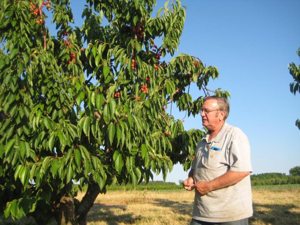 Farmers hope to be exempted from New York’s congestion pricing. Facebook/Bittner Singer Orchards U Pick Cherries