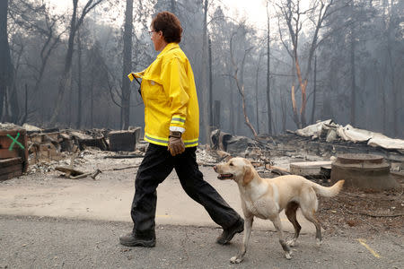 Karen Atkinson, of Marin, searches for human remains with her cadaver dog, Echo, in a neighborhood destroyed by the Camp Fire in Paradise, California, U.S., November 14, 2018. REUTERS/Terray Sylvester