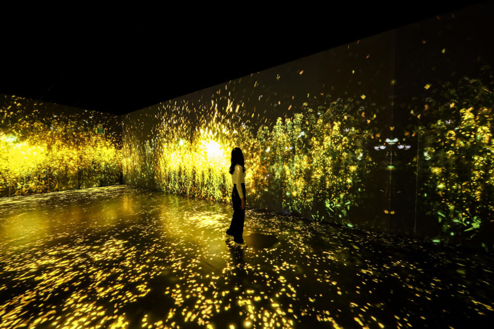 「ARTE M」超人氣藝術博物館10月登港！「韓版Teamlab」逾9000呎沉浸式體驗藝術作影靚相