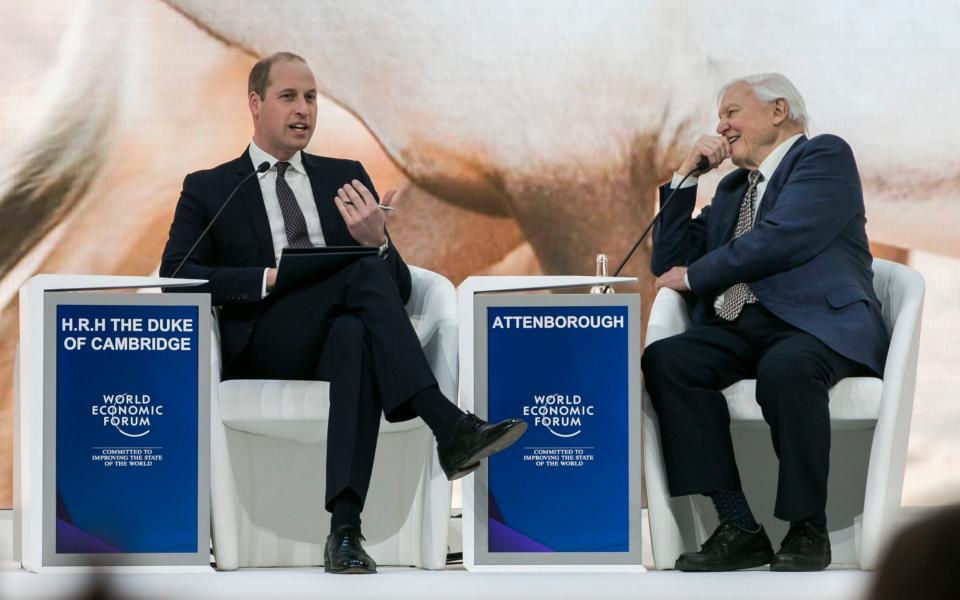 Prince William and Sir David Attenborough in Davos - PA