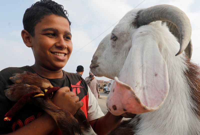 A boy looks at a sold goat to the customer's car, ahead of the Muslim festival of sacrifice Eid al-Adha, following the outbreak of the coronavirus disease (COVID-19), in Giza, on the outskirts of Cairo