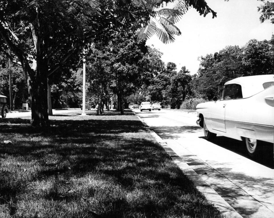 Brickell Avenue in 1961, when mansions lined the road and before the construction of skyscrapers. John Pineda/Miami Herald File
