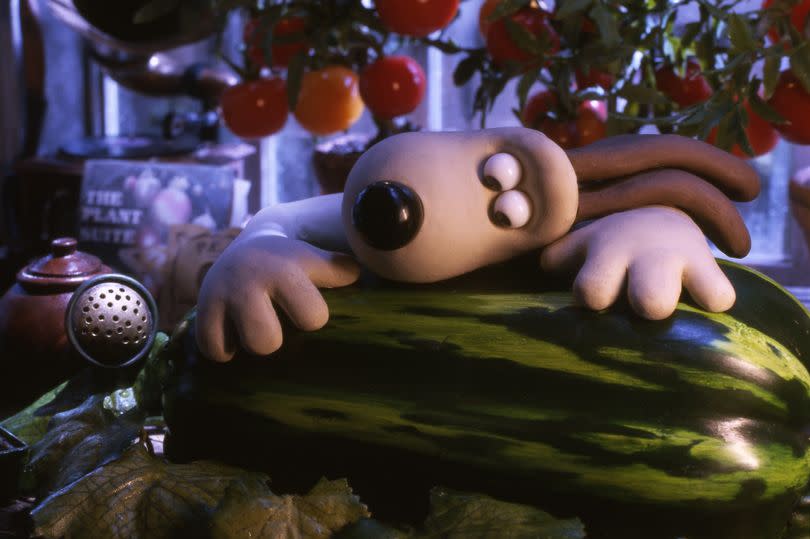 Encounters Film Festival, which has previously shown popular films such as Wallace and Gromit: Curse of the Were-Rabbit, has been cancelled this year