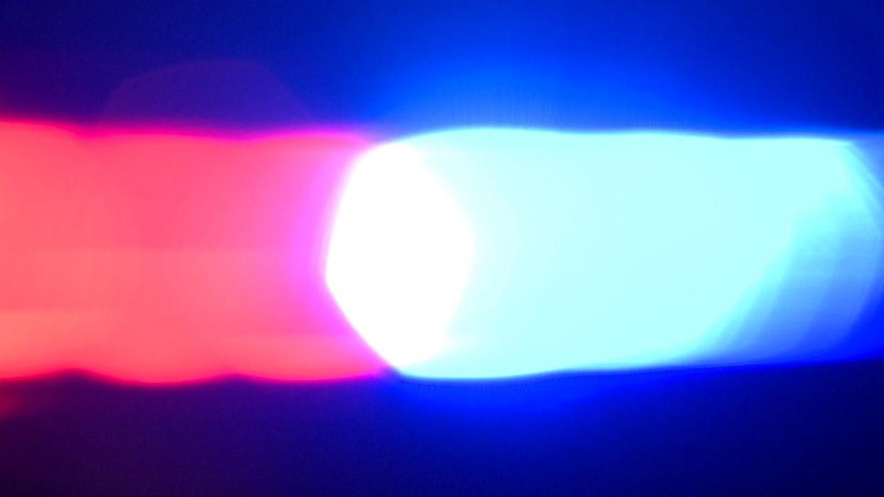 <div>Stock image of police lights.</div> <strong>(FOX TV Stations / FOX 9)</strong>