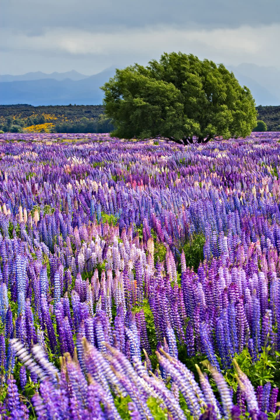 Fiordland National Park, New Zealand