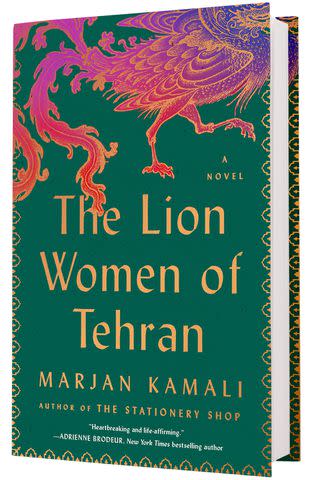 'The Lion Women of Tehran' by Marjan Kamali