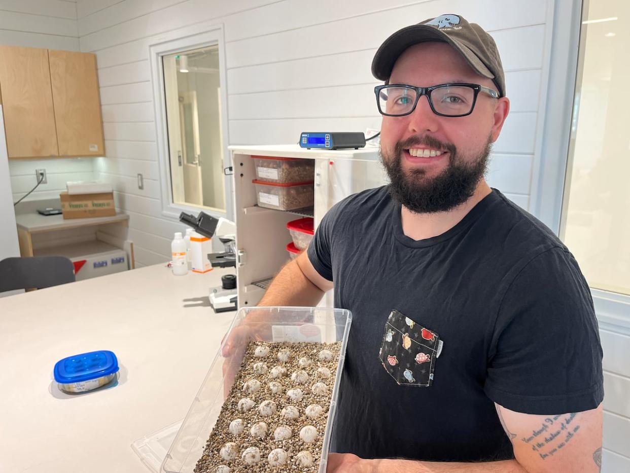 Malcolm Fenech spent the last few months collecting turtle eggs at Petrie Island to save them from getting eaten by predators. Now, he's incubating them at the Ottawa Riverkeeper's offices. (Hallie Cotnam/CBC - image credit)