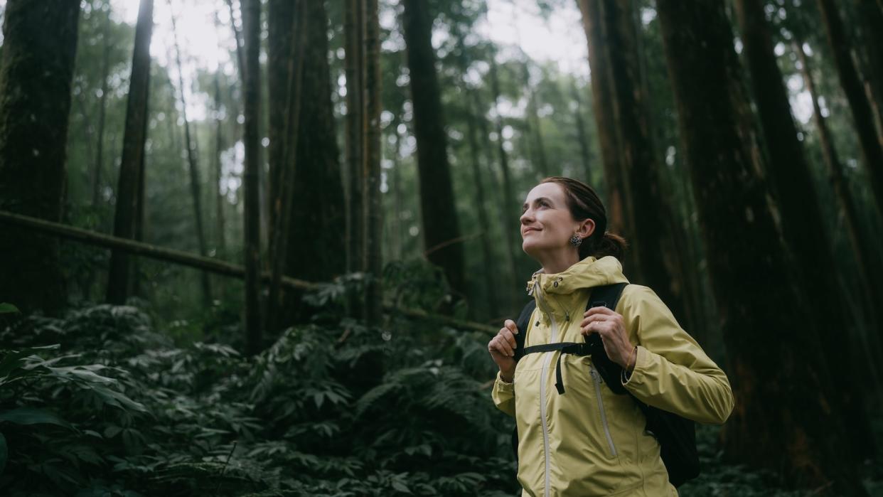  Female hiker in forest. 