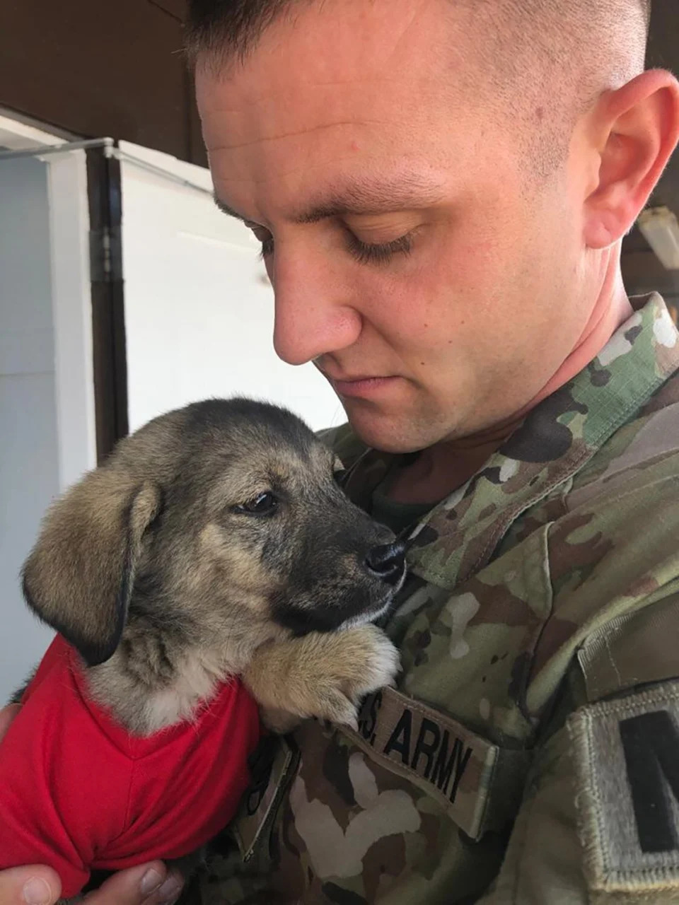 A US soldier rescued a puppy overseas and is now looking for a home for the little one.