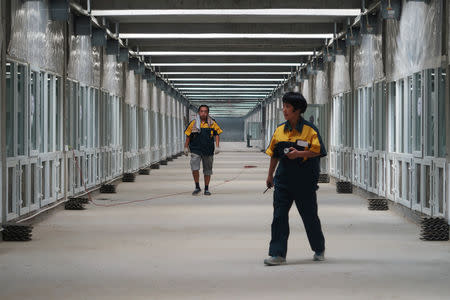 Workers walk next to cockroach cells under construction at a waste processing facility of Shandong Qiaobin Agriculture Technology on the outskirts of Jinan, Shandong province, China October 17, 2018. REUTERS/Thomas Suen