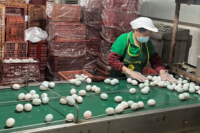 Duck egg products factory in Ruichang