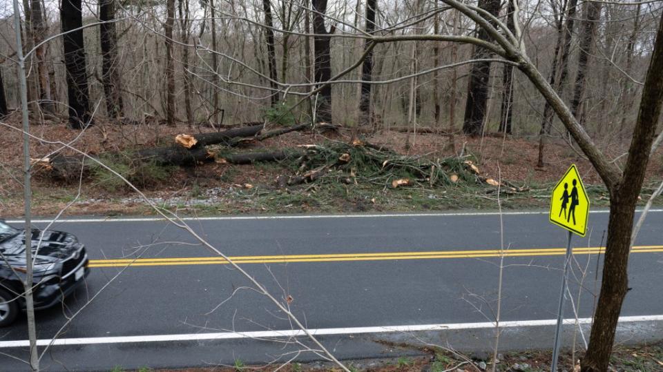 Tusiani, 50, was killed when a tree struck her vehicle while she was traveling northbound on Route 128 in Armonk, law enforcement sources said. Douglas Healey