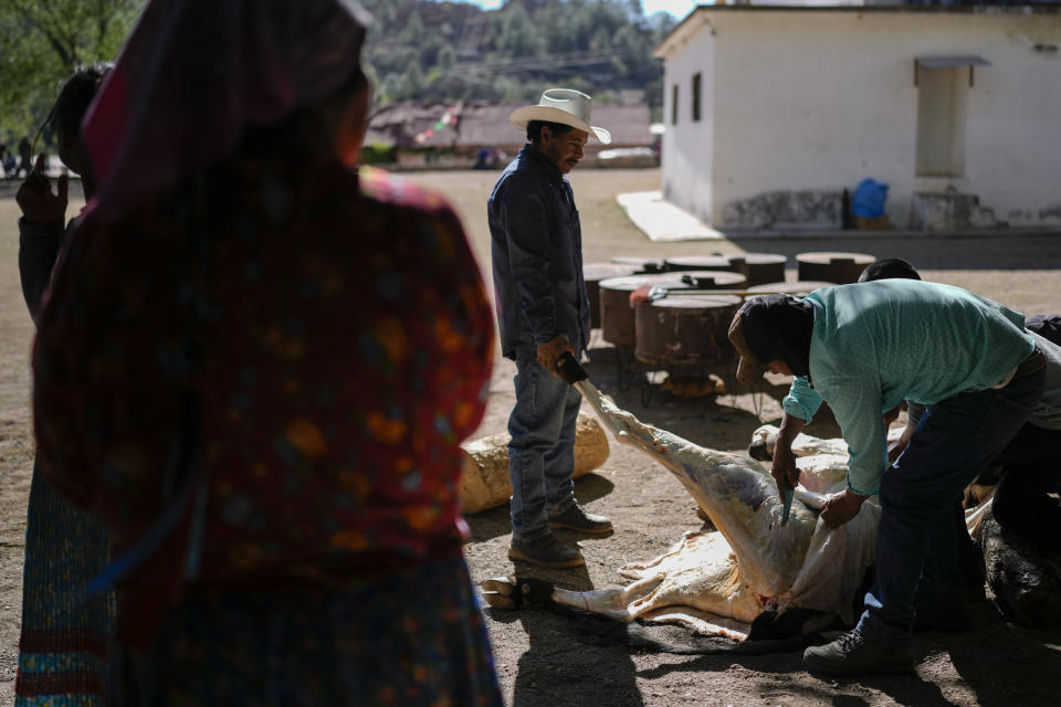 Hombres indígenas rarámuri retiran la piel de una vaca sacrificada antes de cocinarla para los asistentes a la ceremonia sagrada Yúmari para pedir por lluvia y buenas cosechas y en honor de los curas jesuitas Javier Campos y Joaquín Mora que fueron asesinados en 2022 por el líder de una banda, en Cuiteco, México, el viernes 10 de mayo de 2024. Entre los habitantes de las montañas de Tarahumara, especialmente entre los indígenas rarámuri, los sacerdotes son a menudo percibidos como figuras profundamente queridas que ofrecen ayuda. (AP Foto/Eduardo Verdugo)