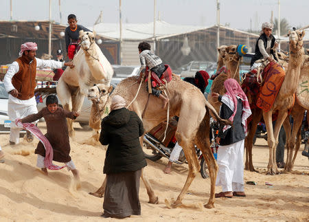 Camel breeders try to control the way of jockeys during the opening of 18th International Camel Racing festival at the Sarabium desert in Ismailia, Egypt, March 12, 2019. Picture taken March 12, 2019. REUTERS/Amr Abdallah Dalsh