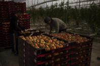 No cabe duda que los trabajadores autónomos son muy importantes en la economía española, pero representan algo menos de dos de cada diez trabajadores que hay en el país.<br><br>Foto: AP Photo/Emilio Morenatti