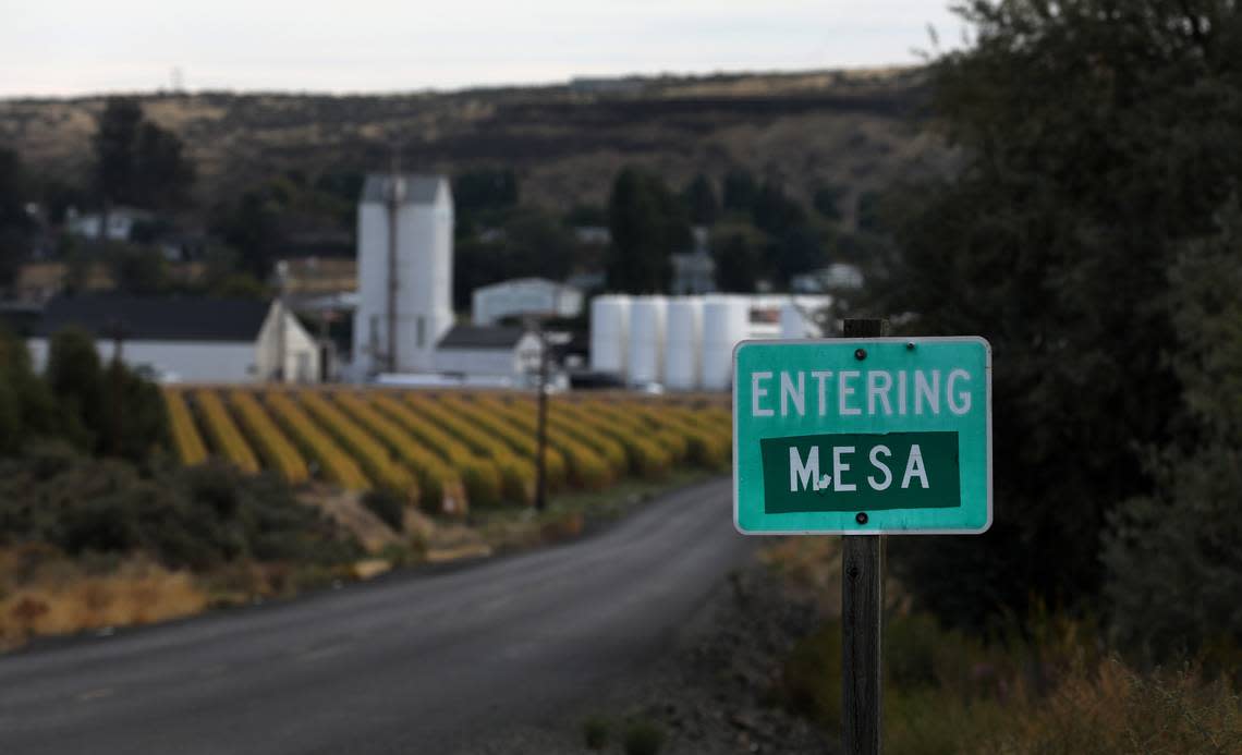 In 1955 Mesa was incorporated, just a few years after the Columbia Basin Irrigation Project brought water to the area for farming.