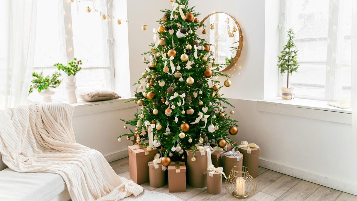 domestic living room decorated with christmas fir tree and holiday decor