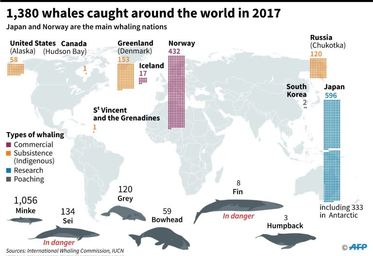 Map locating the main whaling nations and different species of whales caught around the world in 2017