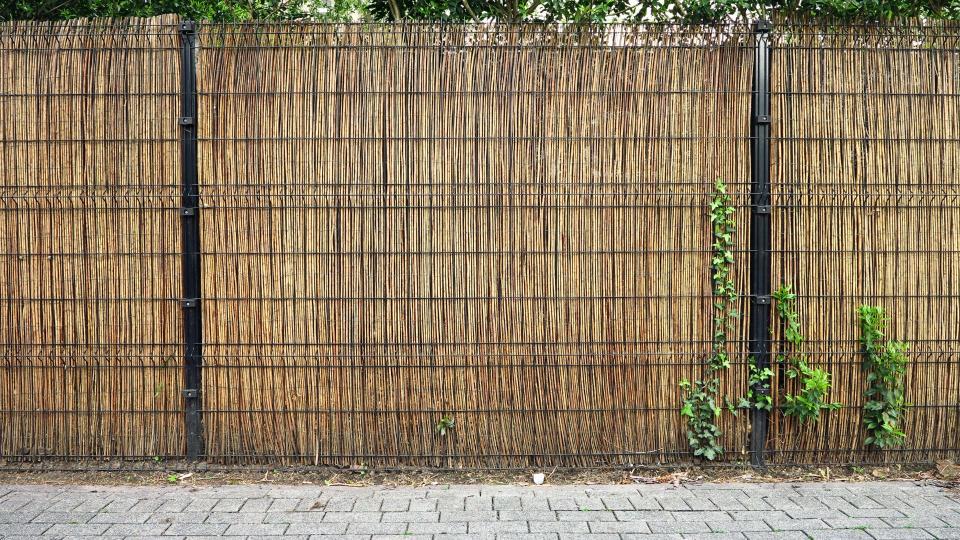 bamboo privacy fence