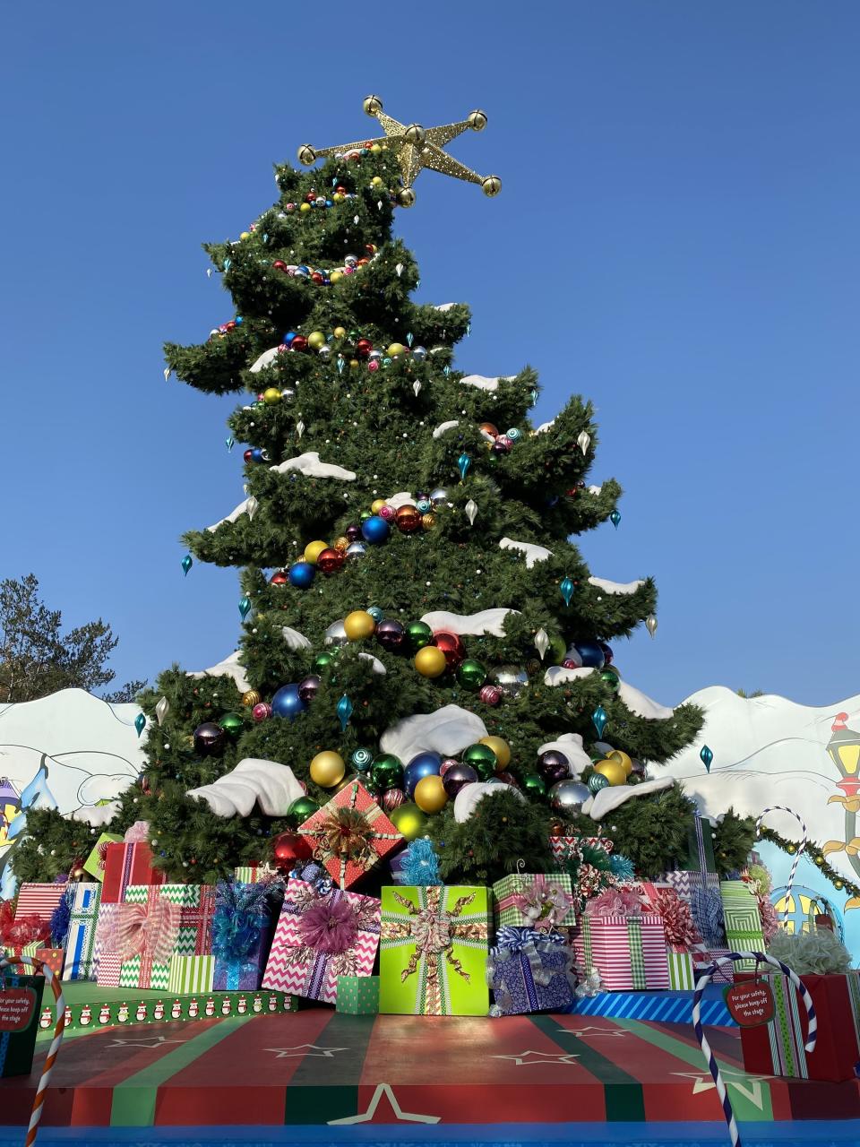 Crooked tree with presents underneath