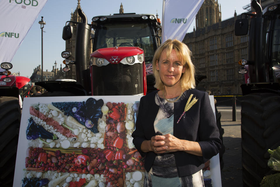 NFU Vice President Minette Batters at the National Farmers Union (NFU) took machinery, produce, farmers and staff to Westminster to encourage Members of Parliament to back British farming, post Brexit on 14th September 2016 in London, United Kingdom. MPs were encouraged to sign the NFUs pledge and wear a British wheat and wool pin badge to show their support. (photo by Mike Kemp/In Pictures via Getty Images Images)