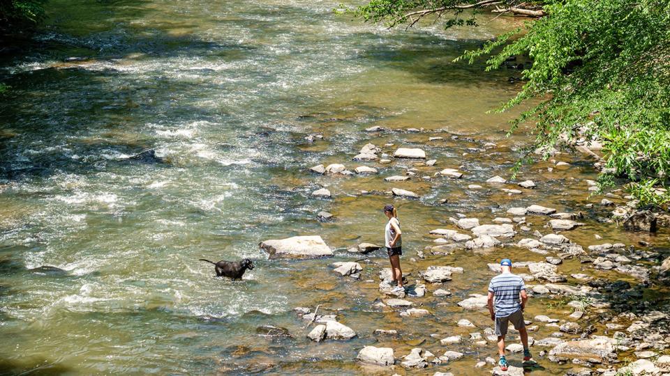 Black dog in river, woman watching the dog while standing on a rock, man a few rocks behind her looking down in the water