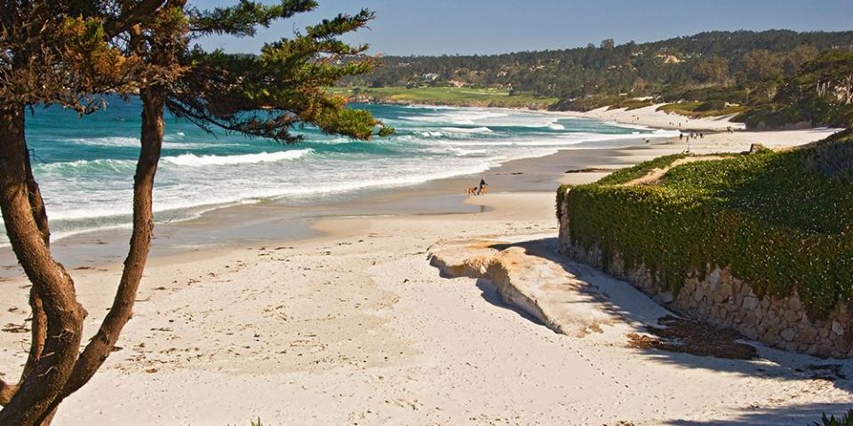 <p>Crescent-shaped Carmel Beach in Carmel-by-the-Sea is one of California's <a href="https://www.bestproducts.com/fun-things-to-do/g2603/top-california-beach-vacations/" rel="nofollow noopener" target="_blank" data-ylk="slk:most beautiful beaches;elm:context_link;itc:0;sec:content-canvas" class="link ">most beautiful beaches</a>. Dogs are allowed off-leash, there's beach volleyball, and there are even wood-burning fire pits, where you can have cheese and wine as you settle in to watch the sunset. </p><p><a class="link " href="https://go.redirectingat.com?id=74968X1596630&url=https%3A%2F%2Fwww.tripadvisor.com%2FHotel_Review-g32172-d4079500-Reviews-Quail_Lodge_Golf_Club-Carmel_Monterey_County_California.html&sref=https%3A%2F%2Fwww.redbookmag.com%2Flife%2Fg34756735%2Fbest-beaches-for-vacations%2F" rel="nofollow noopener" target="_blank" data-ylk="slk:BOOK NOW;elm:context_link;itc:0;sec:content-canvas">BOOK NOW</a> Quail Lodge & Golf Club</p><p><a class="link " href="https://go.redirectingat.com?id=74968X1596630&url=https%3A%2F%2Fwww.tripadvisor.com%2FHotel_Review-g32172-d124647-Reviews-L_Auberge_Carmel-Carmel_Monterey_County_California.html&sref=https%3A%2F%2Fwww.redbookmag.com%2Flife%2Fg34756735%2Fbest-beaches-for-vacations%2F" rel="nofollow noopener" target="_blank" data-ylk="slk:BOOK NOW;elm:context_link;itc:0;sec:content-canvas">BOOK NOW</a> L'Auberge Carmel</p>