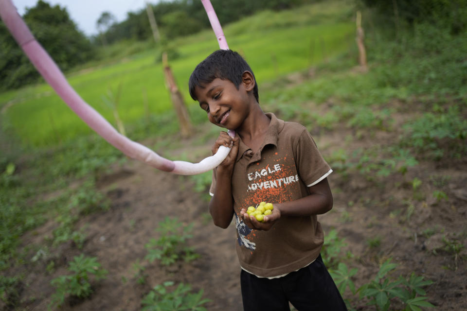 Venura Madushan shows Amla fruits plucked from a nearby shrub in Mahadamana village in Dimbulagala, about 200 kilometres northeast of Colombo, Sri Lanka, Sunday, Dec. 11, 2022. Due to Sri Lanka's current economic crisis families across the nation have been forced to cut back on food and other vital items because of shortages of money and high inflation. Many families say that they can barely manage one or two meals a day. (AP Photo/Eranga Jayawardena)