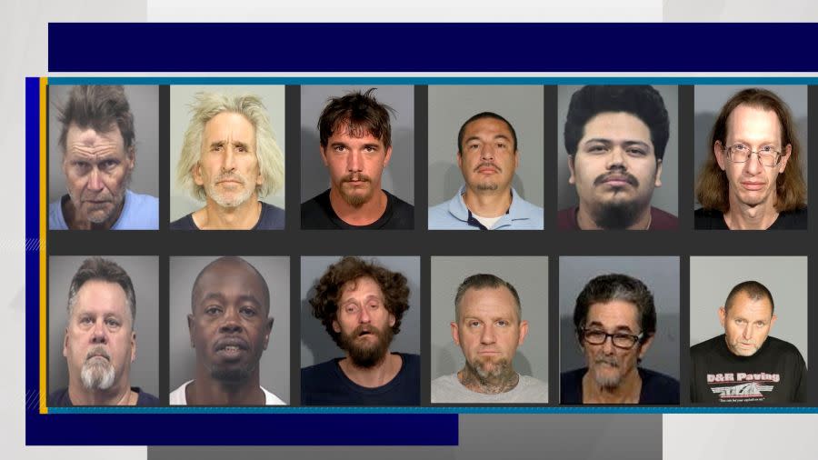 David Duenas, 43;  David Perry, 45;  John Simmons, 51;  Jeremiah Gard, 39;  Ryan Hamm, 60;  Brian Monegan, 62;  Casey Saunders, 26;  Scott Billings, 49;  Giezi Burrion Diaz, 29;  Lawrence Sayles, 65;  Nathaniel Whaley, 51 and Anthony Buncie, 62 were arrested during Operation Summer Shield 2024, a multi-jurisdictional sex offender vetting operation,