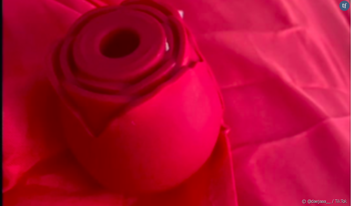 Mais quel ce sextoy en forme de rose qui affole TikTok ? - @daejaaa__ / TikTok