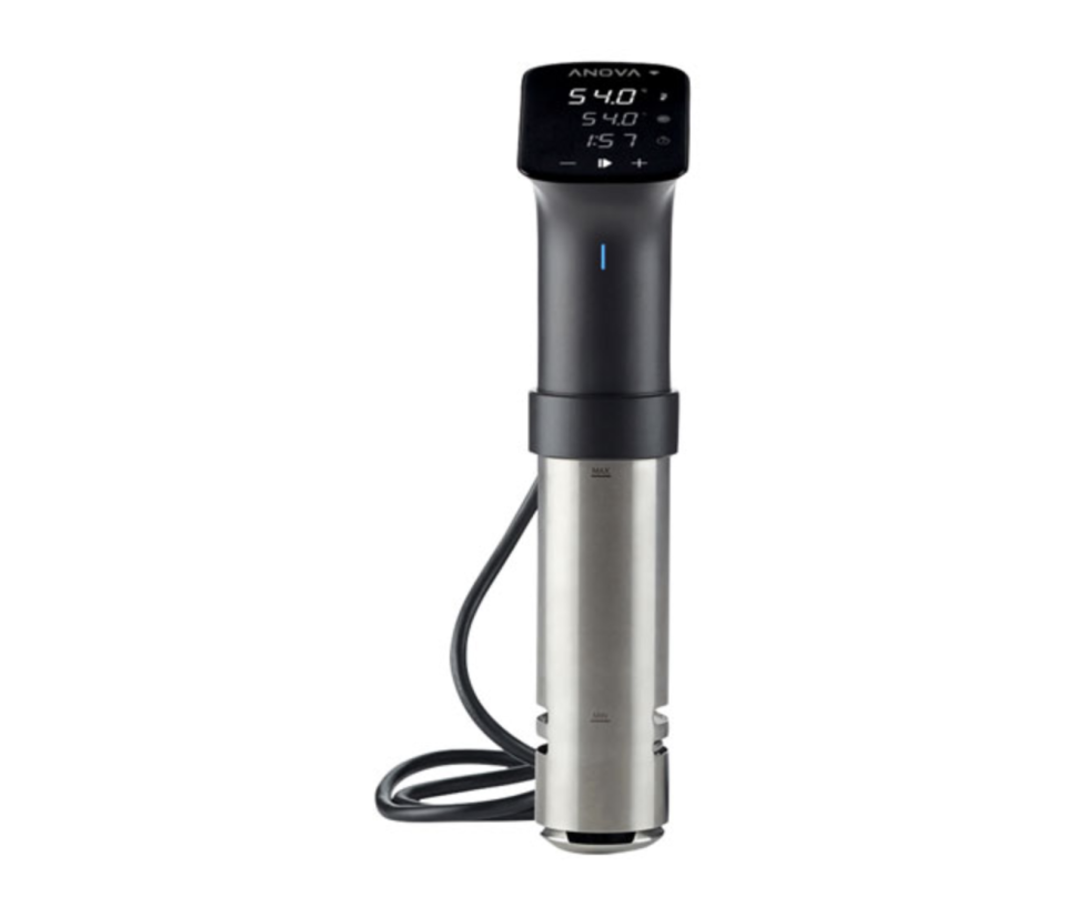 Anova Precision Pro Sous Vide Machine- Best Buy Canada