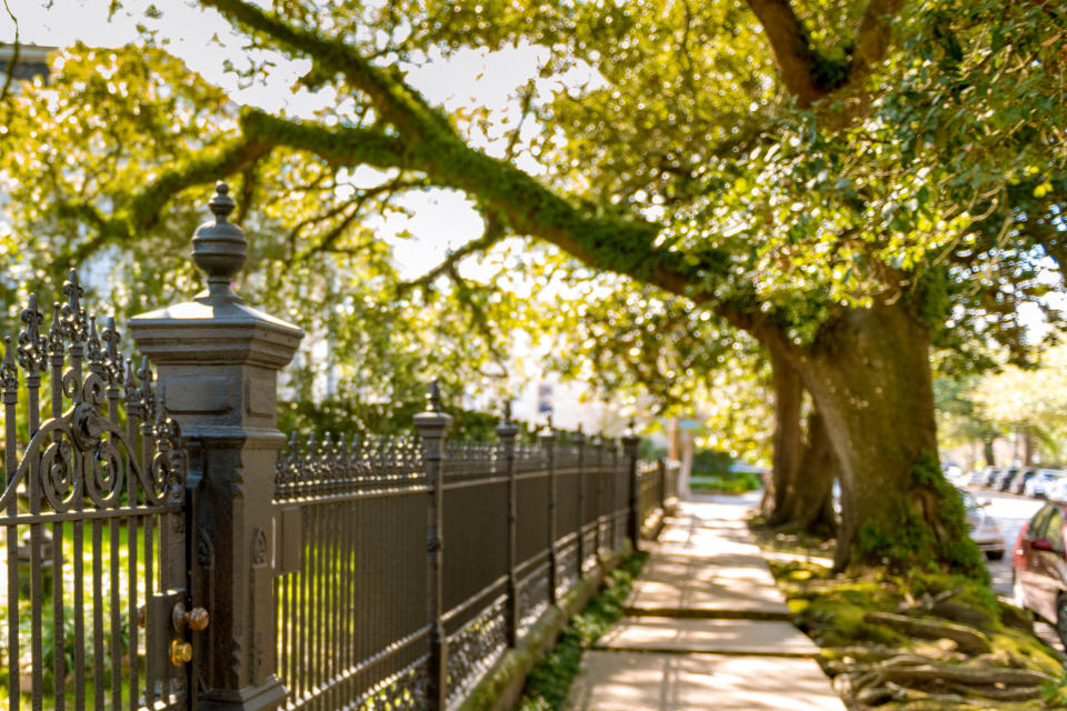 Scenery in the Garden District of New Orleans