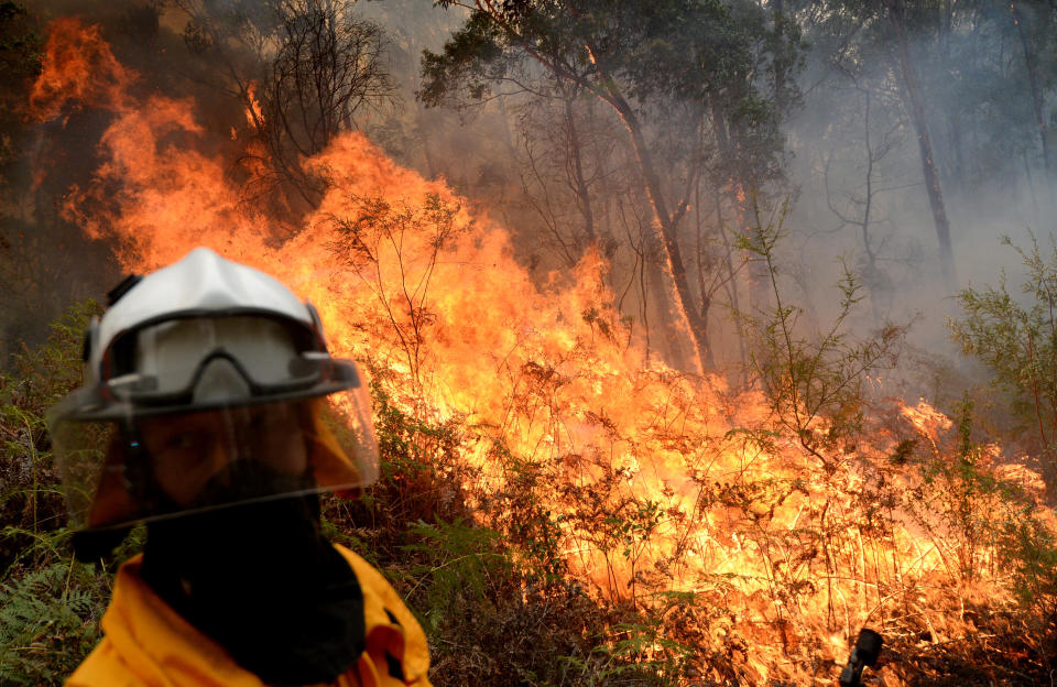 Firefighters backburn along Putty Road in Colo Heights in Sydney, Saturday, November 16, 2019.