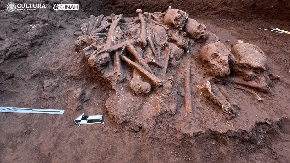  A jumble of human bones buried at an excavation site. 